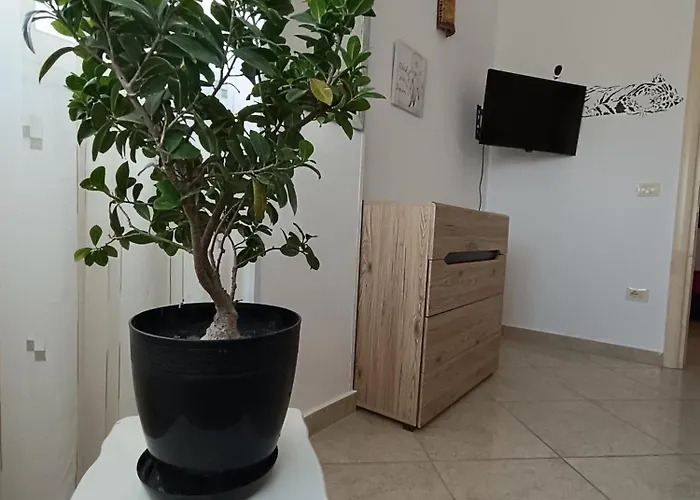 Noah's Seaside Apartment *